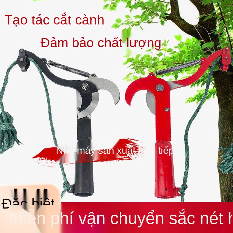 Kéo tỉa cành bằng dây, cắt trên cao, hái trái cây, cành, cao