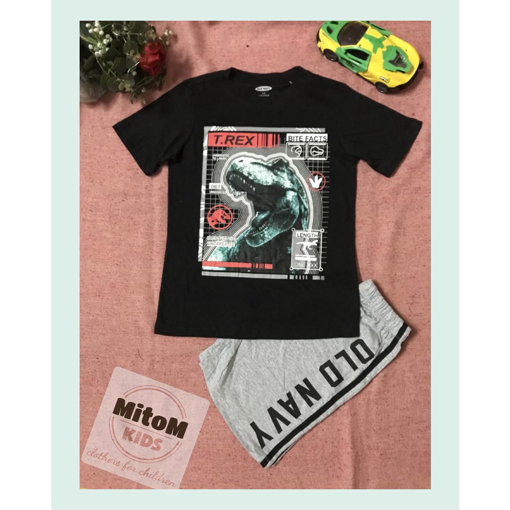 [SALE SỐC] Đồ bộ bé trai GAP ♥️ FREESHIP ♥️ chất cotton xuất khẩu, size đại, hình in không nổ