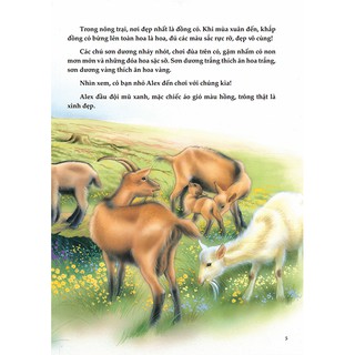 Sức Sống Rừng Xanh