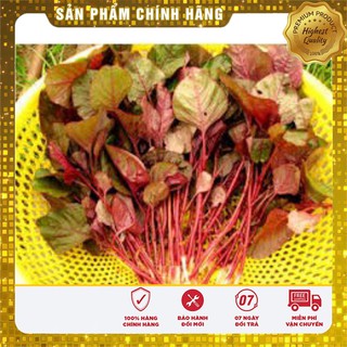 Hạt Giống Rau Dền Đỏ Lá Liễu(50gr)