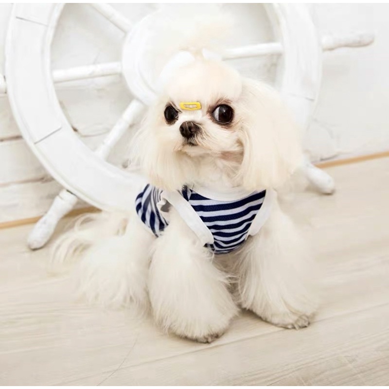 Quần Áo Thời Trang Cho Thú Cưng Chó Mèo Mùa Hè - Xiuxiu Giang