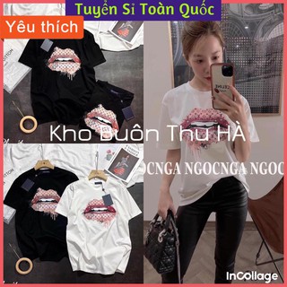Áo thun nữ, áo phông thun co dãn loại 1