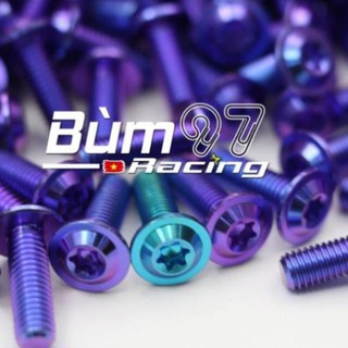 Ốc đĩa titanium gr5 mọi loại xe thaovy1
