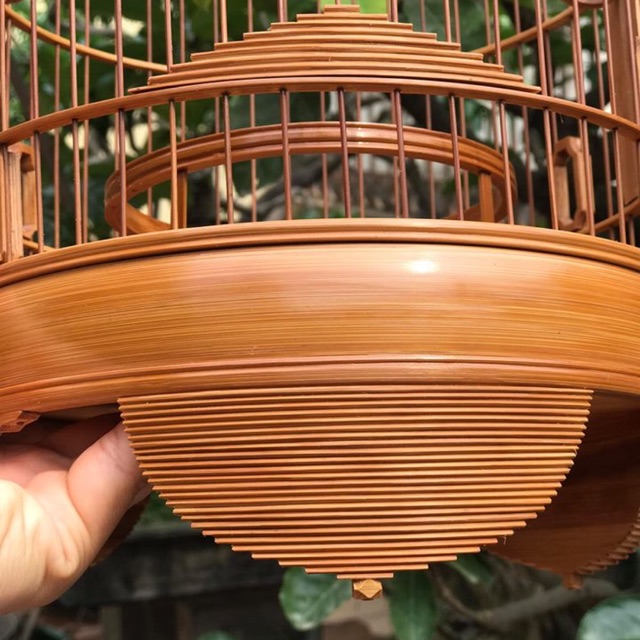 Lồng khuyên chân dũi dừa hàng XỬ LÝ MÀU// KỸ - ĐẸP