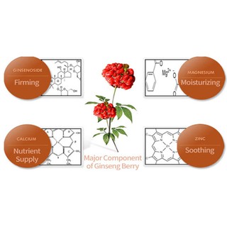 Trà sâm gừng 330g