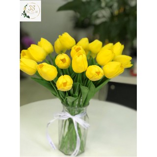 Hoa Tulip lá thắng