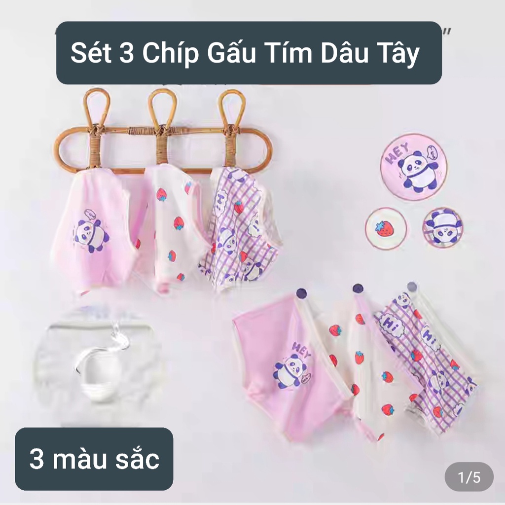 Quần lot đùi combo 3 chip bé gái cotton thoáng mát kháng khuẩn cho bé từ 10-50kg