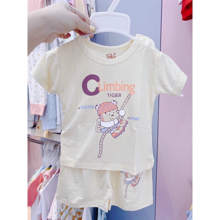 Bộ Carter cài vai