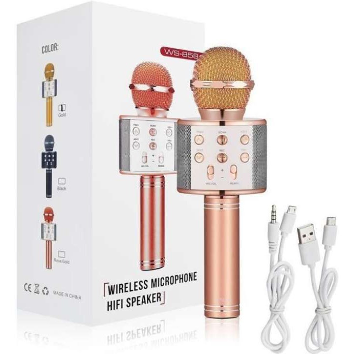 Micro hát karaoke Bluetooth 3in1 kèm loa WS-858 | Squishyvui