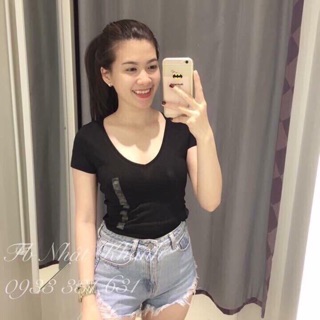 Áo Phông Cotton