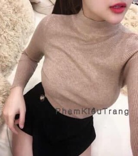 Áo len tăm cổ 3p