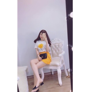 Set hoa cúc