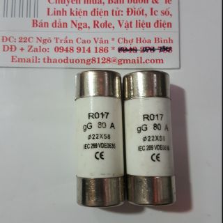 CẦU CHÌ SỨ RO 17- fi22 x58 có 63a 80a 100a 125a