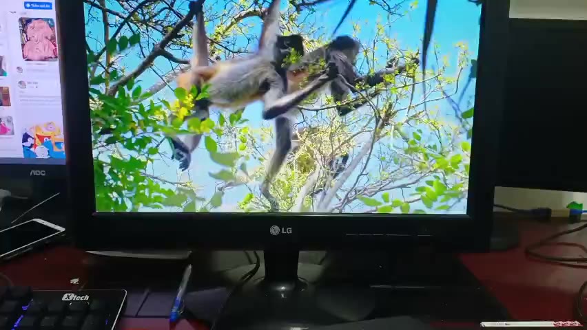 Màn hình vi tính LED 19inch mỏng lên màu chuẩn sắc nét phù hợp chơi game, văn phòng làm việc | BigBuy360 - bigbuy360.vn