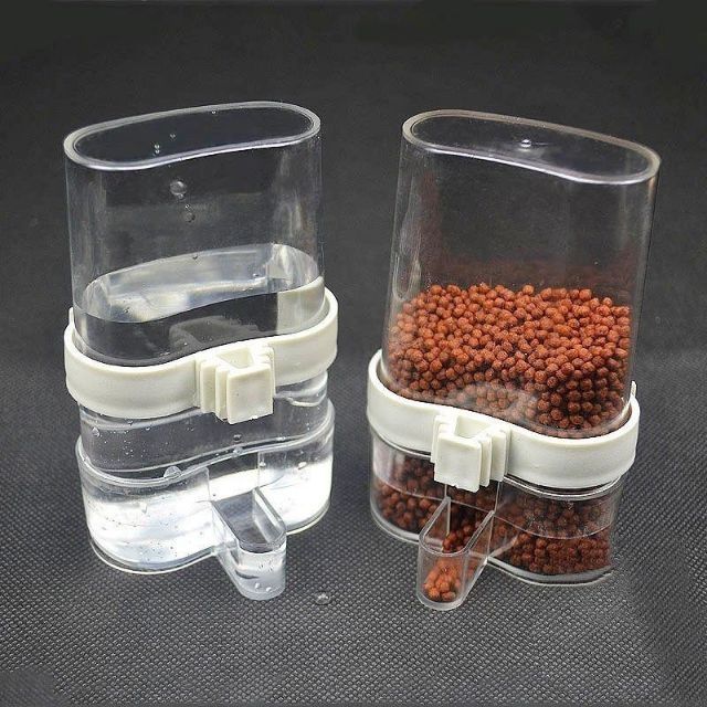 2 cóng ăn uống tự động cho chim.