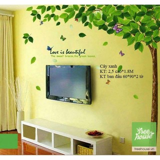 Decal dán tường cây xanh 1