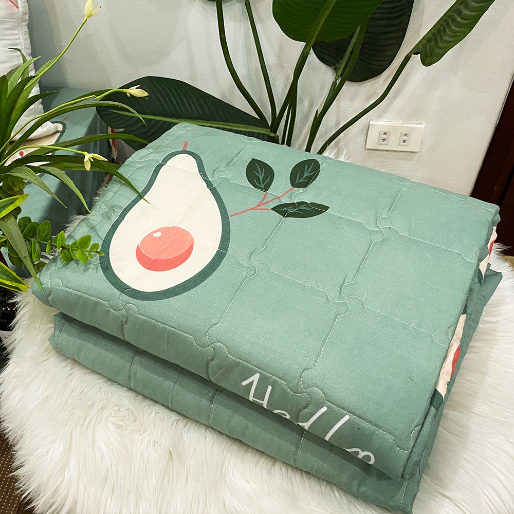 Combo 5 món chăn hè Cotton Poly  - Kích thước M2/M6/M8/2M2