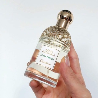 Nước Hoa Guerlain Aqua Allegoria Herba Fresca 75ml