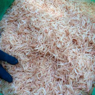 Ruốc biển phơi khô đóng gói 0,5kg