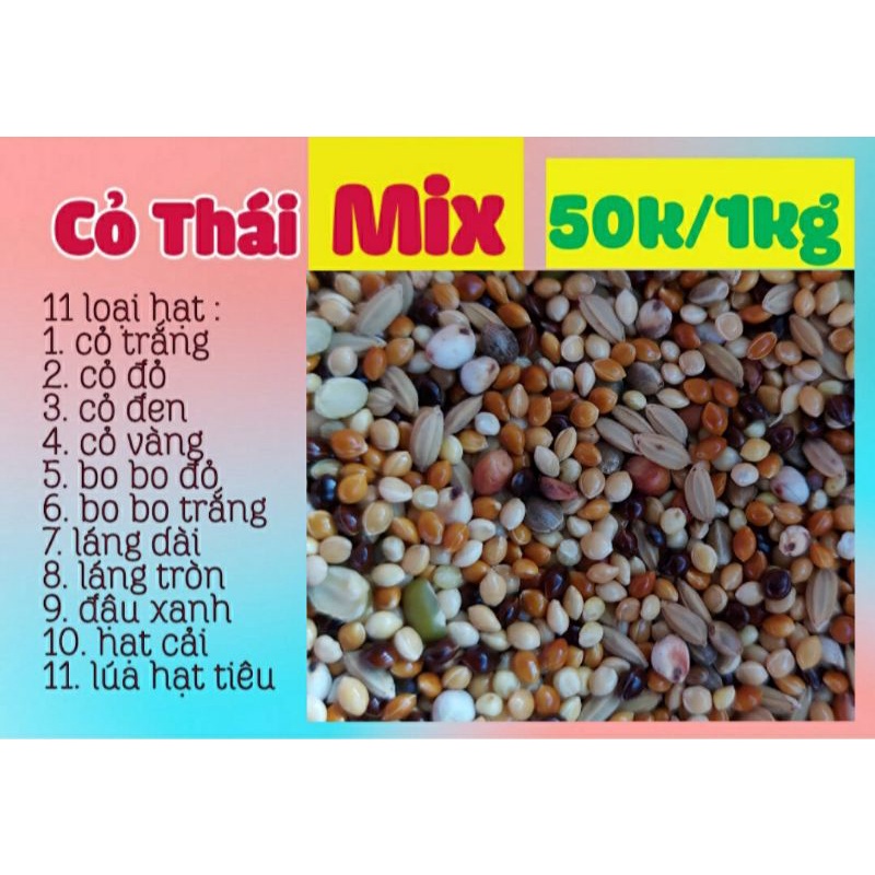 Cỏ Thái MIX