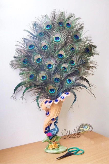 Combo 30c lông công đại cát đại lợi loại to đẹp 65-70cm | BigBuy360 - bigbuy360.vn