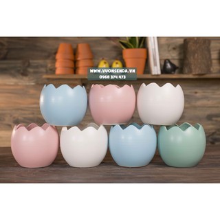 Chậu trứng 11x11cm - vườn sen đá