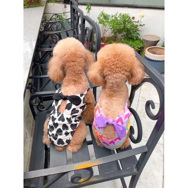 Bikini phối nơ ngực hoạ tiết trái tim/Bikini cao cấp cho chó mèo