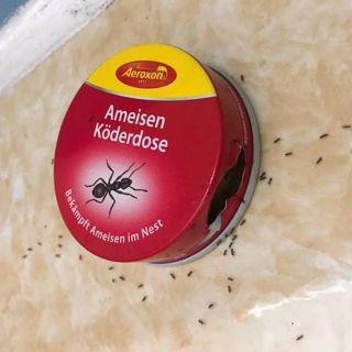 [Hàng Đức chuẩn] Hộp diệt kiến Profissimo không mùi hàng nội địa Đức