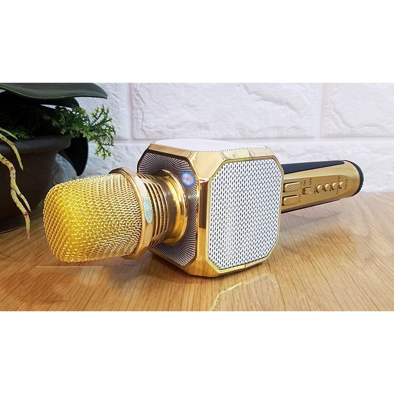 Micro Karaoke Kèm Loa Bluetooth SD-10 Cực Hay