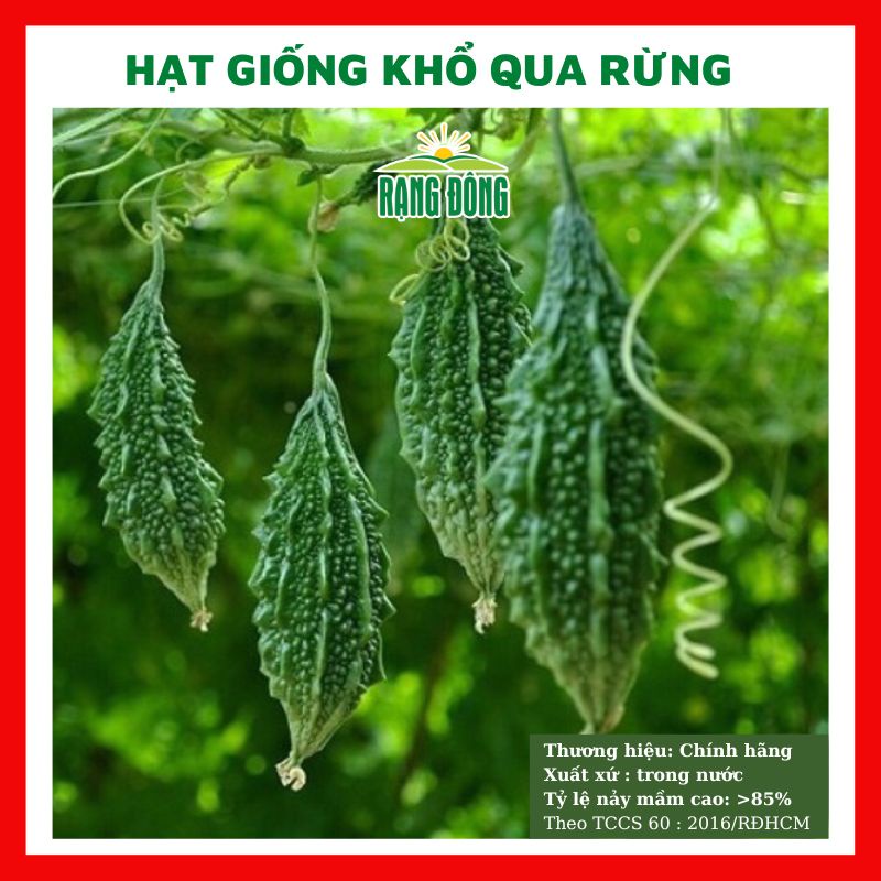 Hạt giống khổ qua rừng - rau củ quả trồng chậu chịu nhiệt 4 mùa tỉ lệ nảy mầm cao 1g RADO 52