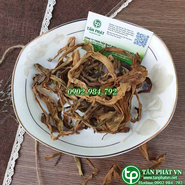 Cây trinh nữ hoàng cung 1kg - tấn Phát