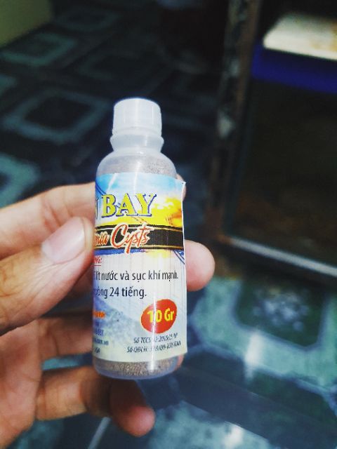 COMBO BỘ ẤP VÀ 10G ARTEMIA ẤP MỸ CHO CÁ