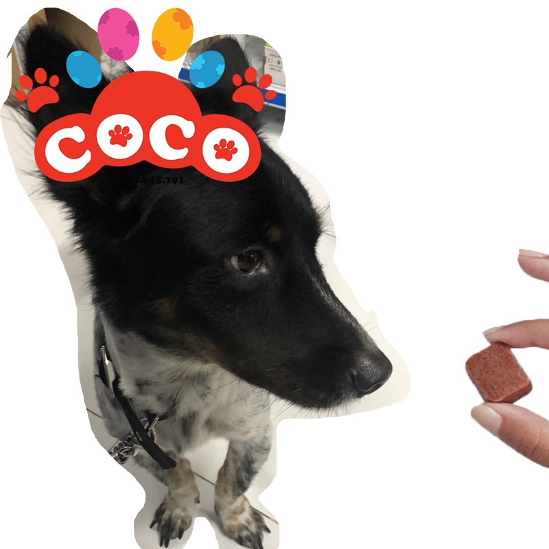 Hạt Nexg-ard vị bò - hạt nhai ve rận, bọ chét, ghẻ (xà mâu)