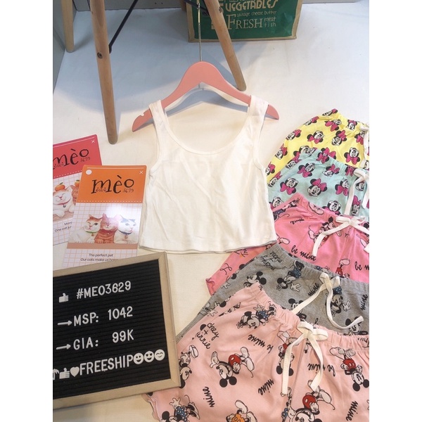 [Chuyên Sỉ] Bộ thun hàng vnxk, vải thun cotton co dãn 4 chiều, form tôn dáng, mẫu này là sự lựa chọn hoàn hảo