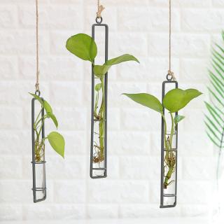 Chậu hoa treo tường sáng tạo cho trang trí
