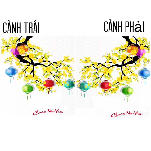 Decal dán Tết - Cành Mai Vàng nền Trắng ( Trái - Phải )