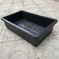 (Ship ngay) (48x34cm) Chậu máng rau thông minh kèm lưới 47- Khay nhựa chữ nhật trồng rau sạch, hoa cảnh 48 tại nhà