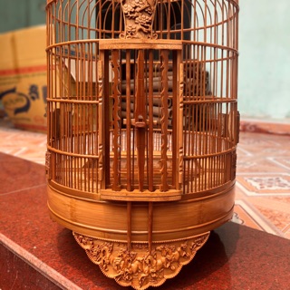 Lồng mi đục bát mã
