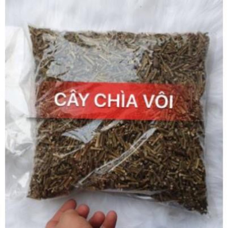 Cây chìa vôi khô túi 1kg