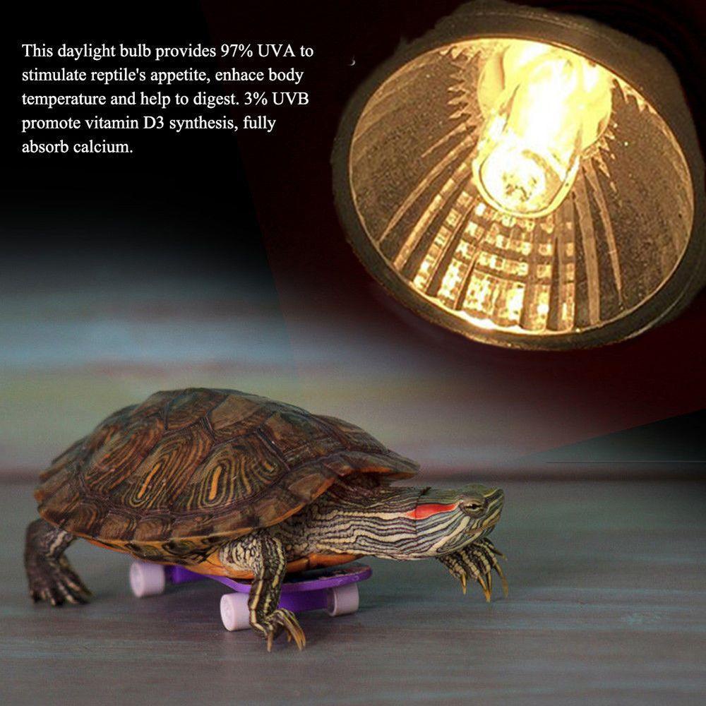 YIYU Bóng Đèn Halogen Điều Khiển Nhiệt Độ Hình Rùa