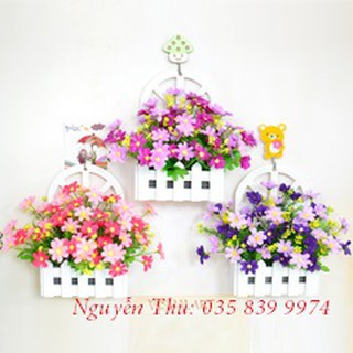 Hoa vải lụa - Điểm cúc xẻ