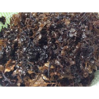 Rong Biển  Nấu Sâm ( Rong Ướt) - 100 gram
