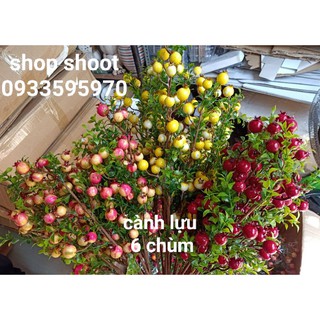 CÀNH LỰU TÀI LỘC CHƯNG TẾT