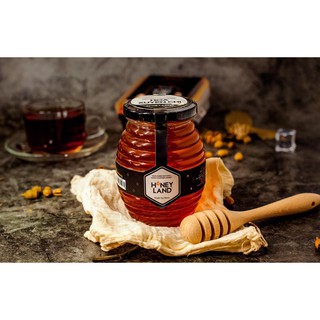 Mật ong hoa xuyến chi Tây Bắc 500g 100% nguyên chất Honeyland