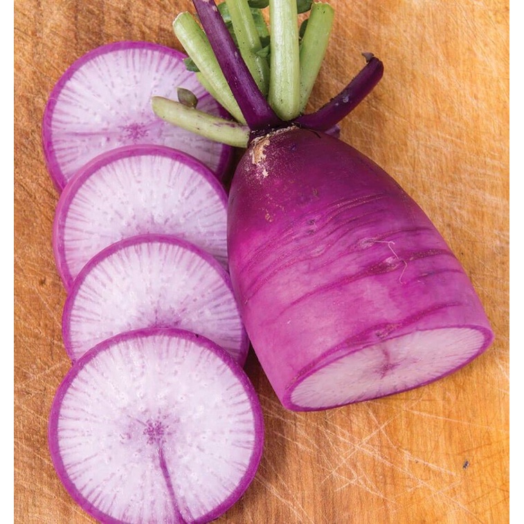 Hạt giống Củ Cải Tím Daikon F1 Nhập khẩu - 5 gram
