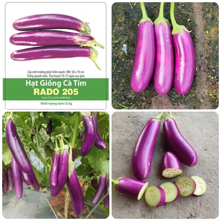 Hạt giống Cà tím gói 0.5gr