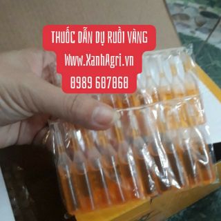 20 ống thuốc dẫn dụ ruồi vàng