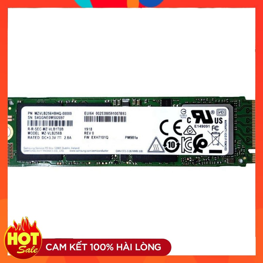 Ổ Cứng SSD M.2 2280 PCIe NVMe Samsung PM981 256GB - Bảo hành 3 năm