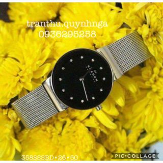 Đồng hồ nữ Skagen 358SSSBD