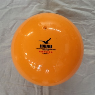 Combo 10 Quả Bóng Chuyền Hơi HẢI ÂU 250g